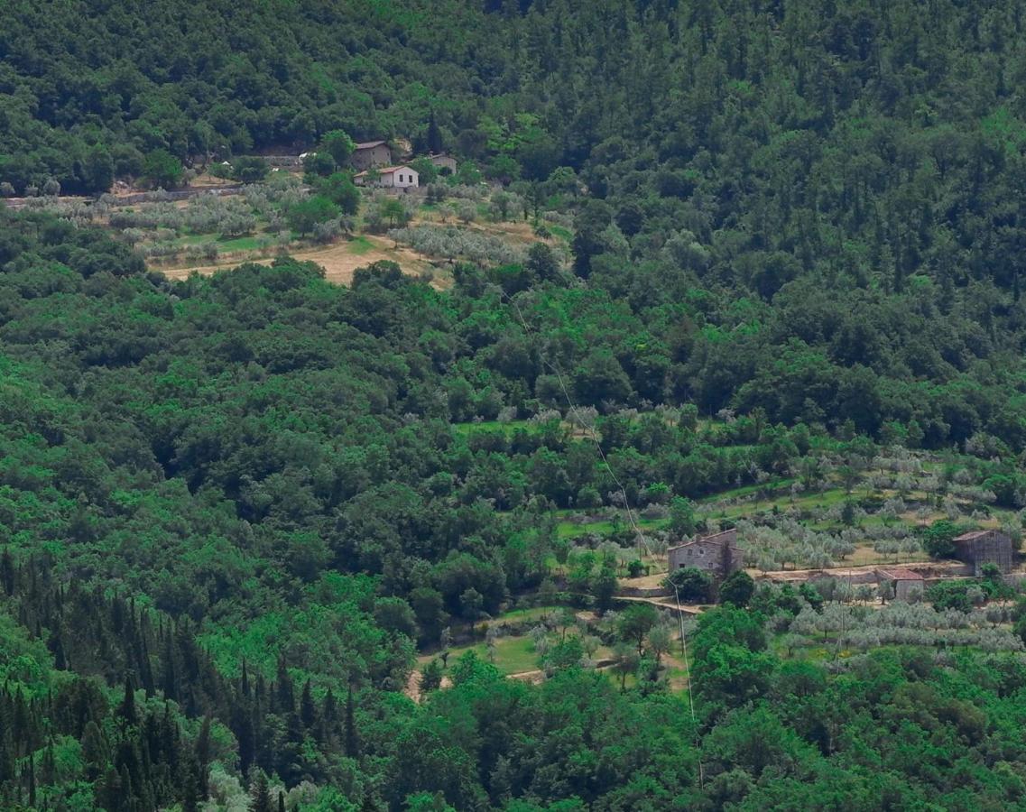 Villa Ancora Tenuta Lonciano Gualdo  Eksteriør billede